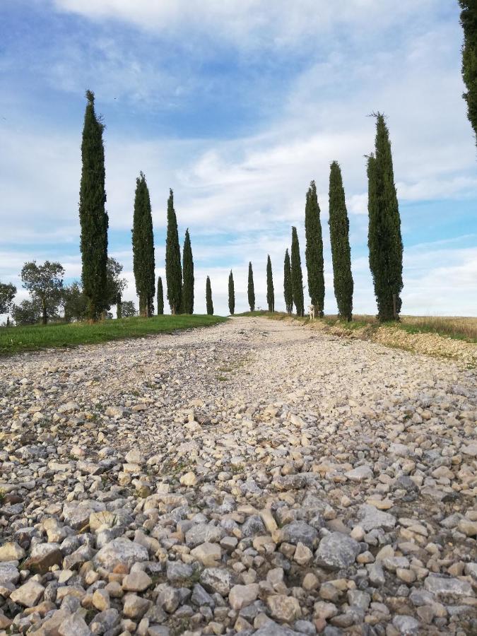 Podere Sant'Antonio Buonconvento Eksteriør bilde