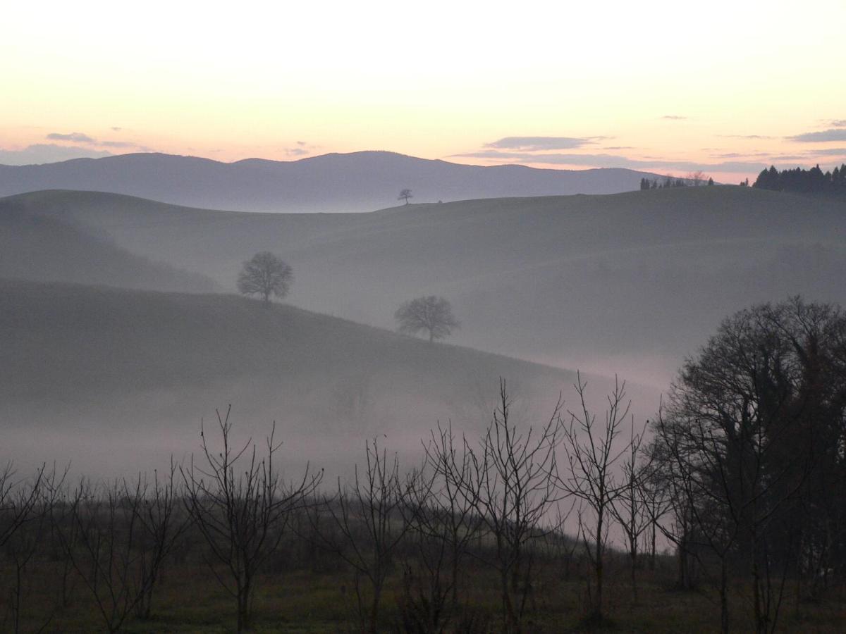 Podere Sant'Antonio Buonconvento Eksteriør bilde