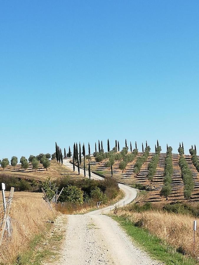 Podere Sant'Antonio Buonconvento Eksteriør bilde