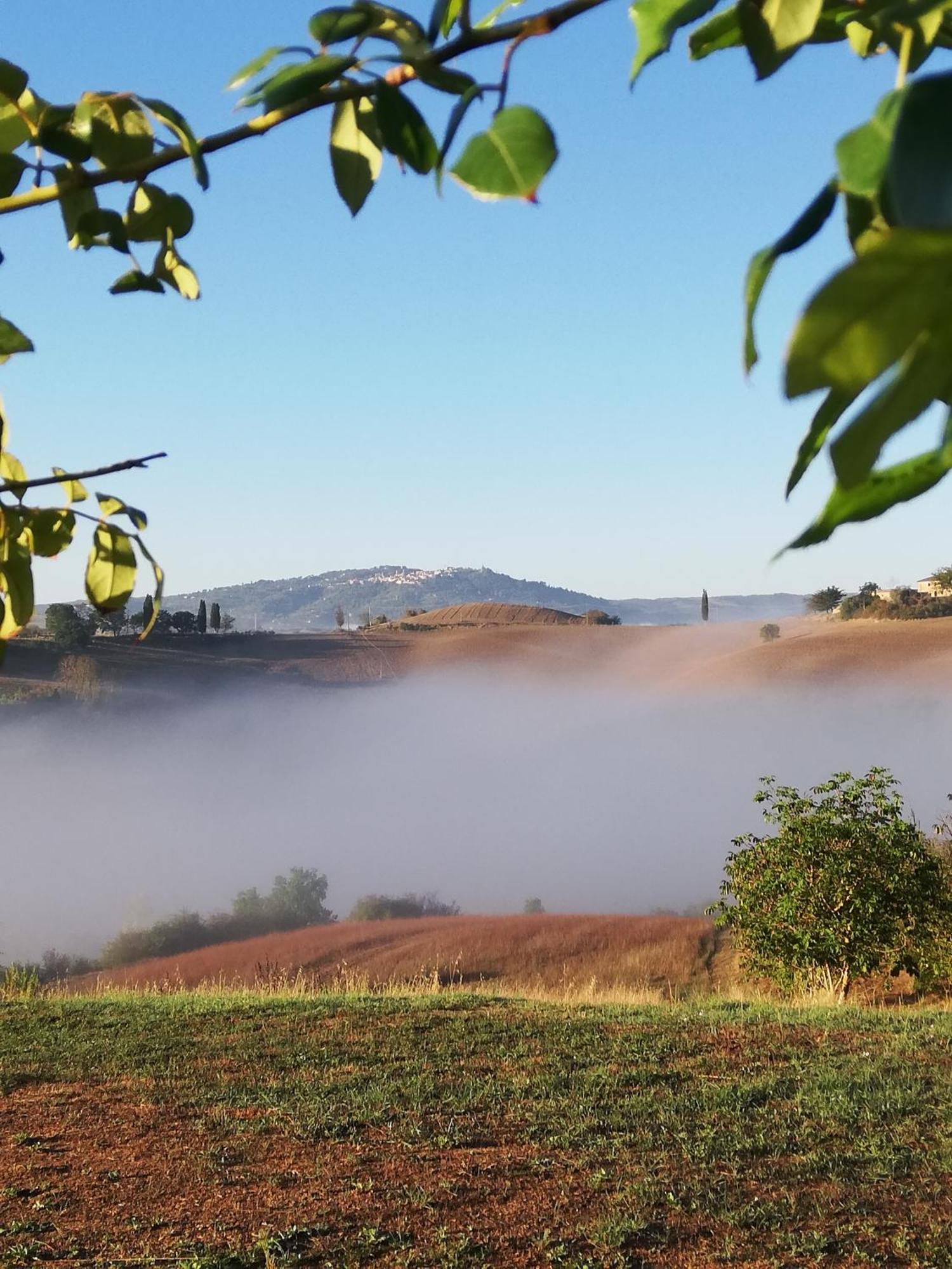 Podere Sant'Antonio Buonconvento Eksteriør bilde